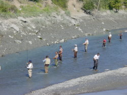 Anchorage - zalm vissen in Ships Creek