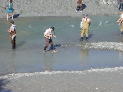 Anchorage - zalm vissen in Ships Creek