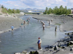 Anchorage - zalm vissen in Ships Creek