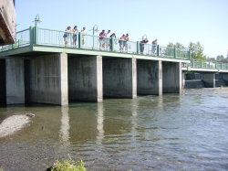 Anchorage - dam in Shipscreek (met vistrap)
