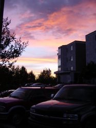 Anchorage - het appartement