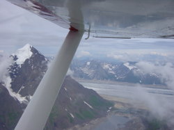 Talkeetna - rondvlucht met een C185 langs mount McKinley