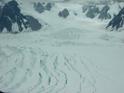 Talkeetna - rondvlucht met een C185 langs mount McKinley