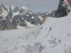 Talkeetna - rondvlucht met een C185 langs mount McKinley