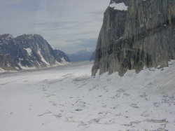 Talkeetna - rondvlucht met een C185 langs mount McKinley