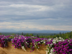 Talkeetna lodge