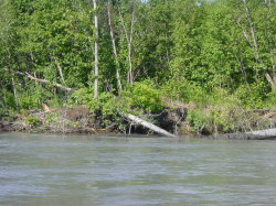 Talkeetna - tocht met de jetboat van Mahay's