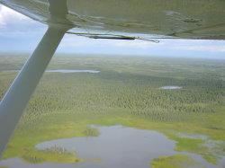 Beaver Air Taxi -  terugvliegen naar Anchorage
