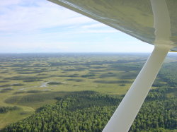 Beaver Air Taxi -  terugvliegen naar Anchorage