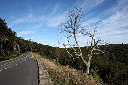 Shenandoah National Park