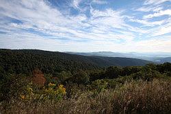 Shenandoah National Park