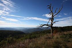 Shenandoah National Park