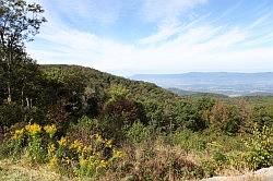 Shenandoah National Park