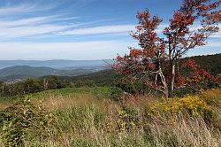 Shenandoah National Park