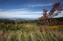 Shenandoah National Park