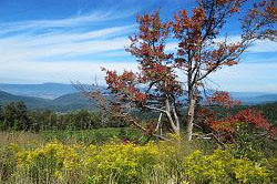 Blue Ridge Parkway