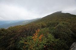 Blue Ridge Parkway