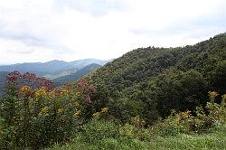 Blue Ridge Parkway