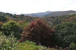 Blue Ridge Parkway