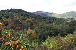 Blue Ridge Parkway