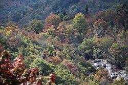 Blue Ridge Parkway