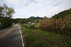 Great Smoky Mountains National Park