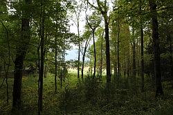 Great Smoky Mountains National Park