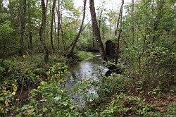 Great Smoky Mountains National Park