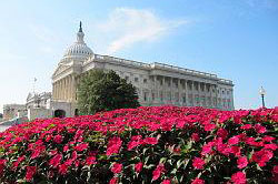 Washington - The Capitol