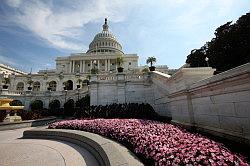 Washington - The Capitol