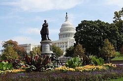 Washington - The Capitol