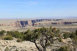 Grand Canyon - de Little Colorado River; een kloof in het landschap