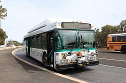 Grand Canyon - gratis bus naar de verschillende uitkijkpunten