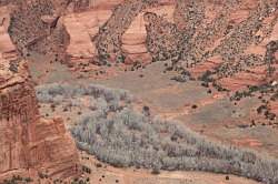 Canyon de Chelly - Face rock overlook