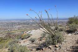 Phoenix - South Mountain Park