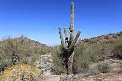 Phoenix - South Mountain Park