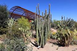 Scottsdale - Desert Botanical garden