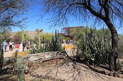 Scottsdale - Desert Botanical garden