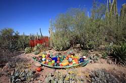 Scottsdale - Desert Botanical garden