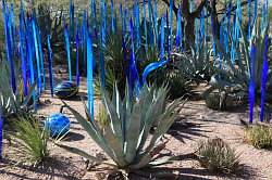 Scottsdale - Desert Botanical garden