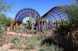 Scottsdale - Desert Botanical garden