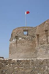 Fort Arad