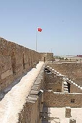 Fort Arad