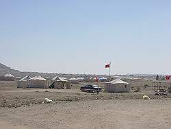 Kamperen in de woestijn - zeer populair, dus veel tenten