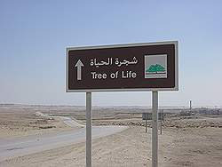 Richting 'tree of life'