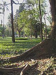 De stad - Jardim de Luz; park met kunst