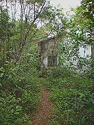 Serra da Cantareira - verlaten huis, dat langzaam wordt overgroeid door het oerwoud