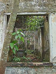 Serra da Cantareira - verlaten huis, dat langzaam wordt overgroeid door het oerwoud