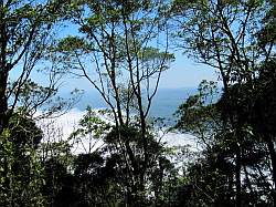 Paranapiacaba forest - de bewolking ligt lager