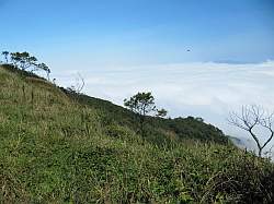 Paranapiacaba forest - de bewolking ligt lager; normaal is de kust en Santos zichtbaar 